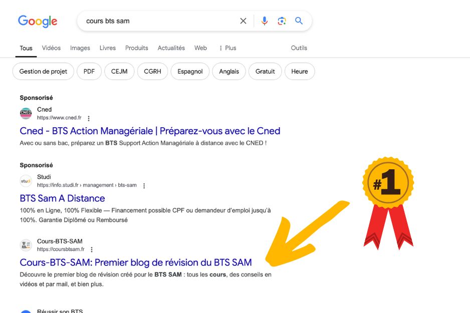 rédacteur web seo