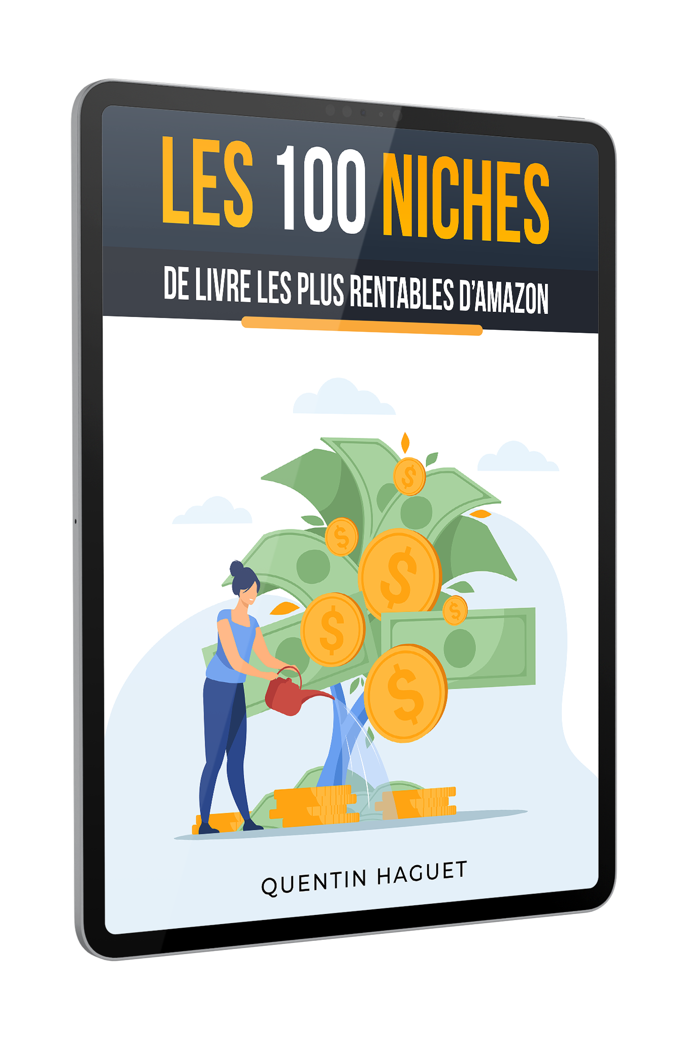 niche de livre amazon kdp